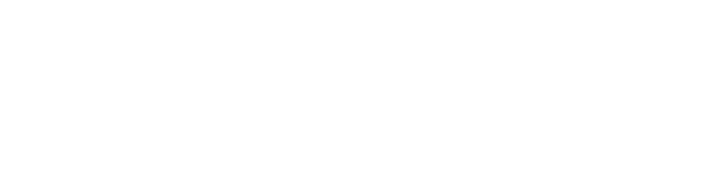 Logo eMAG
